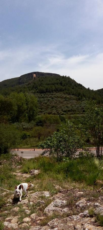 La Viajera Espadan Algimia de Almonacid Bagian luar foto